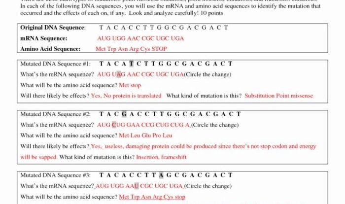 Dna secret of life worksheet answers