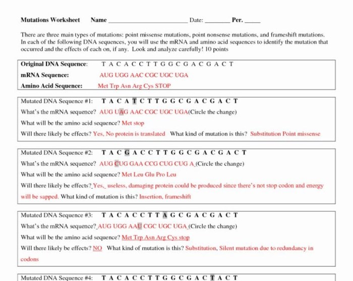 Dna secret of life worksheet answers