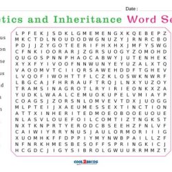 World of genetics word search key