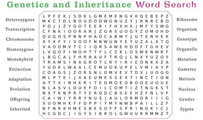 World of genetics word search key