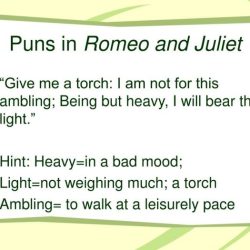 Puns romeo juliet ppt powerpoint presentation