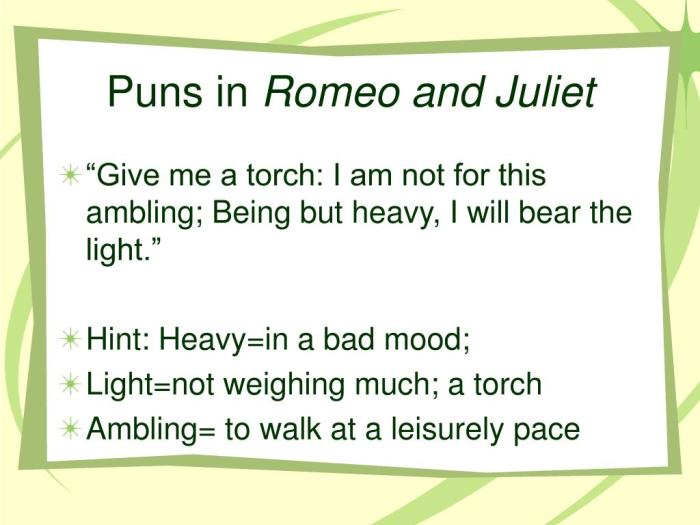 Puns romeo juliet ppt powerpoint presentation