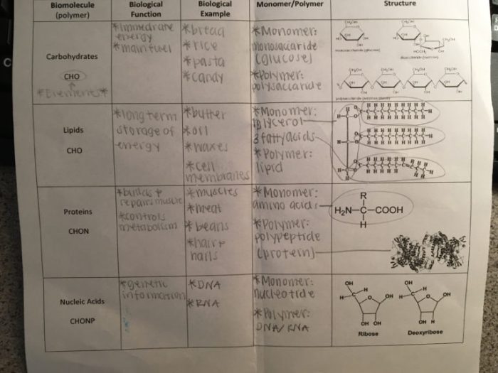 Amoeba sisters video select recap speciation answer key